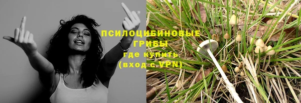 мет Бородино