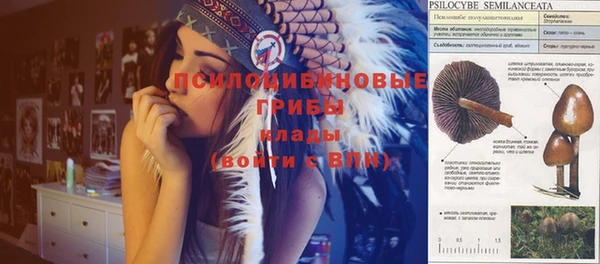 скорость Бронницы