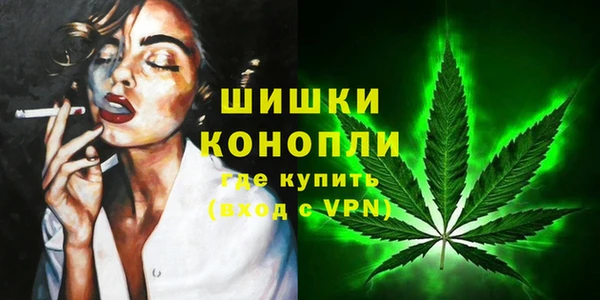 СК Богородицк