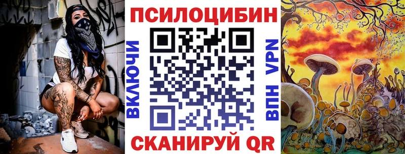 Псилоцибиновые грибы Psilocybine cubensis  Вилючинск 