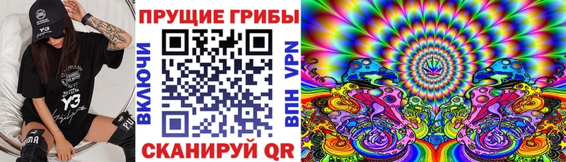 Псилоцибиновые грибы мицелий Вилючинск